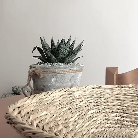 Calypso Λουτρά Αιδηψού